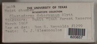 Image Associated With the Occurence